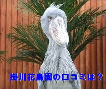 掛川花鳥園